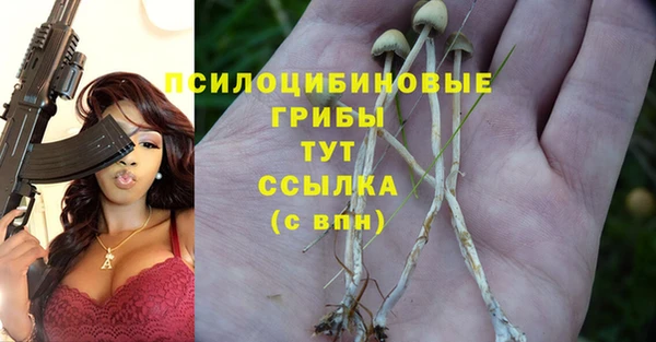 первитин Алексин