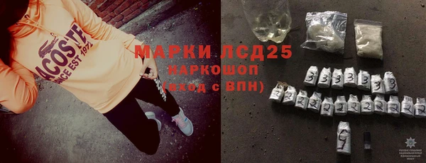 прущие грибы Алзамай
