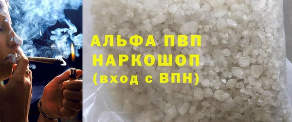 прущие грибы Алзамай
